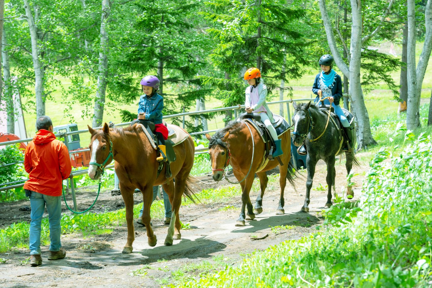 Horse Riding