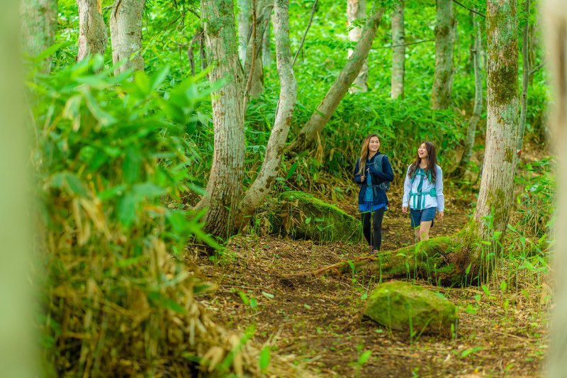 Trekking Course Around Mt. Yotei