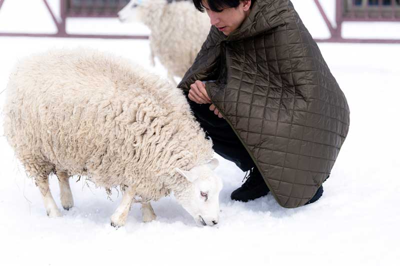 ルスツウール100％ブランケットであたたかい冬を