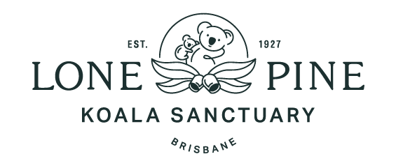 Lone Pine Koala Sanctuary