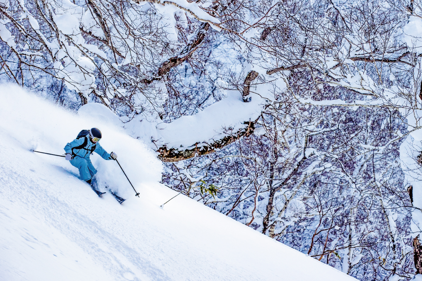 前売リフト券 (25時間券＋5) - 北海道 ルスツリゾート