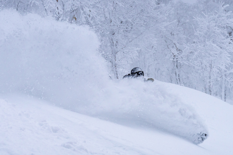 1/20(火) は一年で最も寒い「大寒」！雪に恵まれた今年の1月