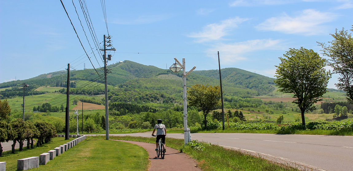 best mountain bike for road and trail