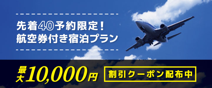 航空券付き宿泊プラン