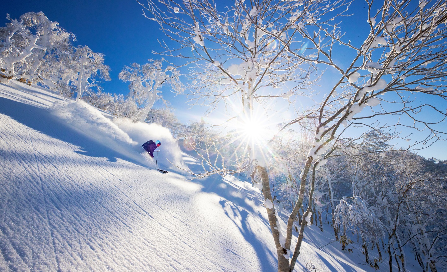 powder snow