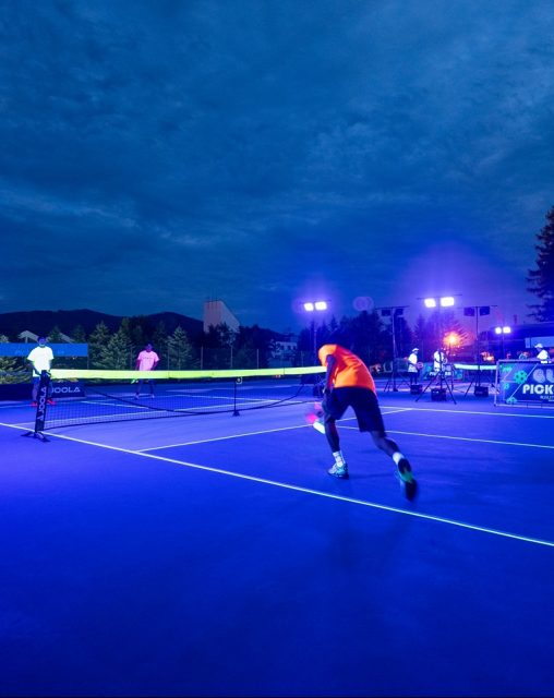 ナイトピックルボール