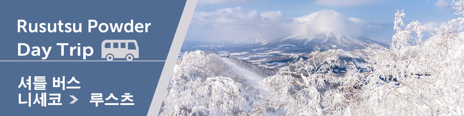 Rusutsu Powder Day Trip