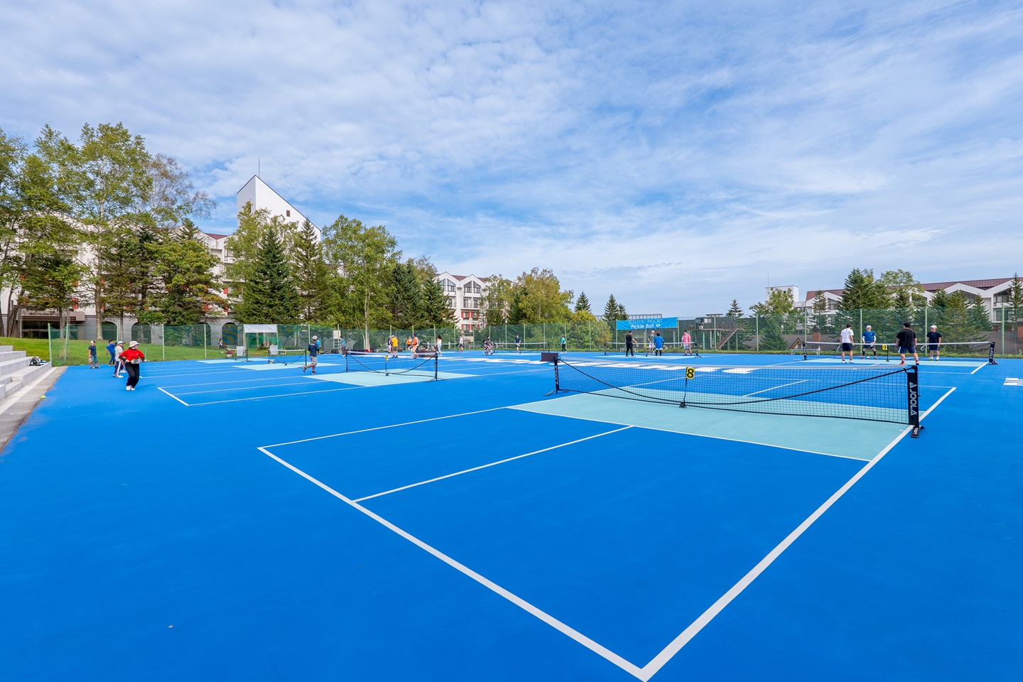 ピックルボール