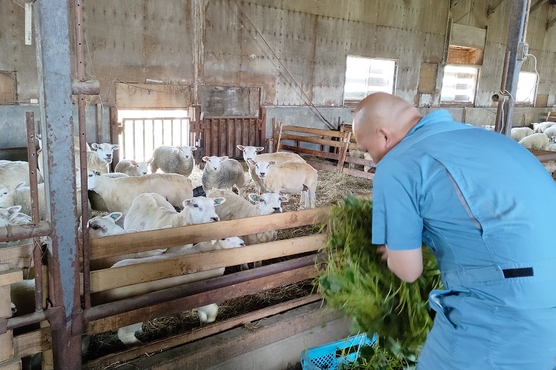 ルスツファームが廃棄野菜 (生産残渣) を羊の飼料として活用した、 地域の廃棄物・CO2の排出を削減するサスティナブルな取り組みを開始