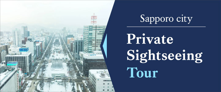 Private Sightseeing Tour