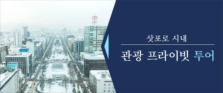 Private Sightseeing Tour