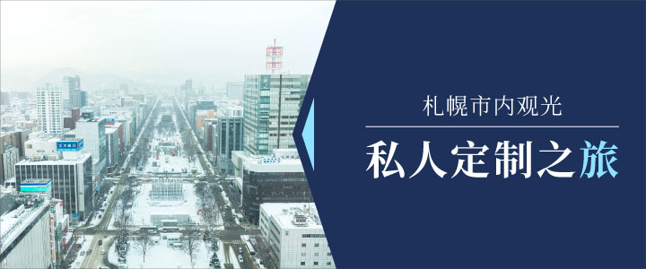 Private Sightseeing Tour