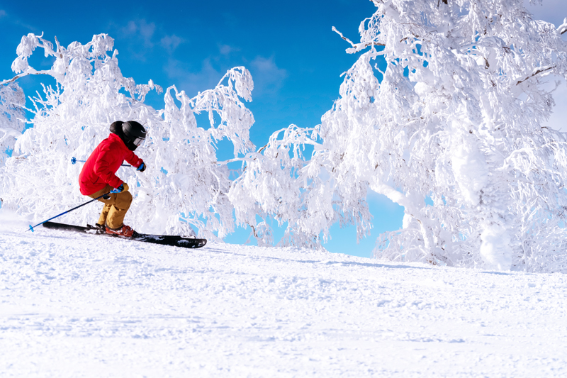 在日本的华人朋友和在日留学生必看！3月来北海道滑雪过春假的系列实惠套餐上线 