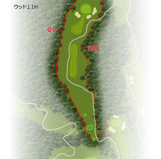 HOLE 11