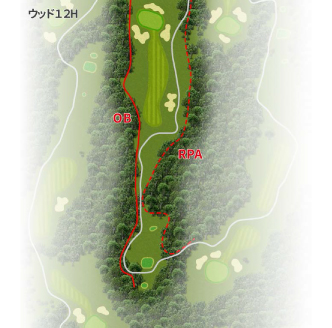 HOLE 12