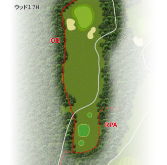 HOLE 17